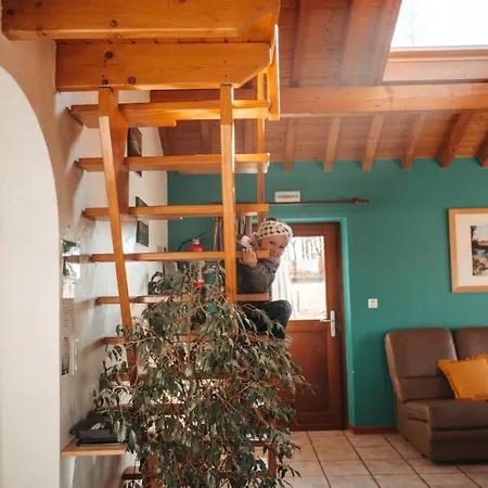 Chalet Le Brocard Des Fagnes - 15 Pers