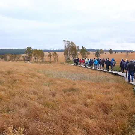 Le Brocard Des Fagnes - 16 Pers * Malmedy