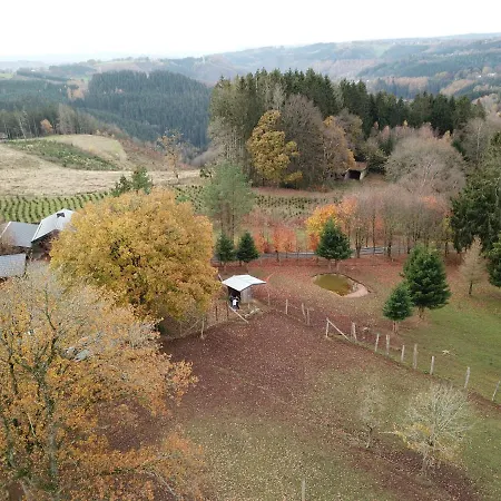 Le Brocard Des Fagnes - 16 Pers *